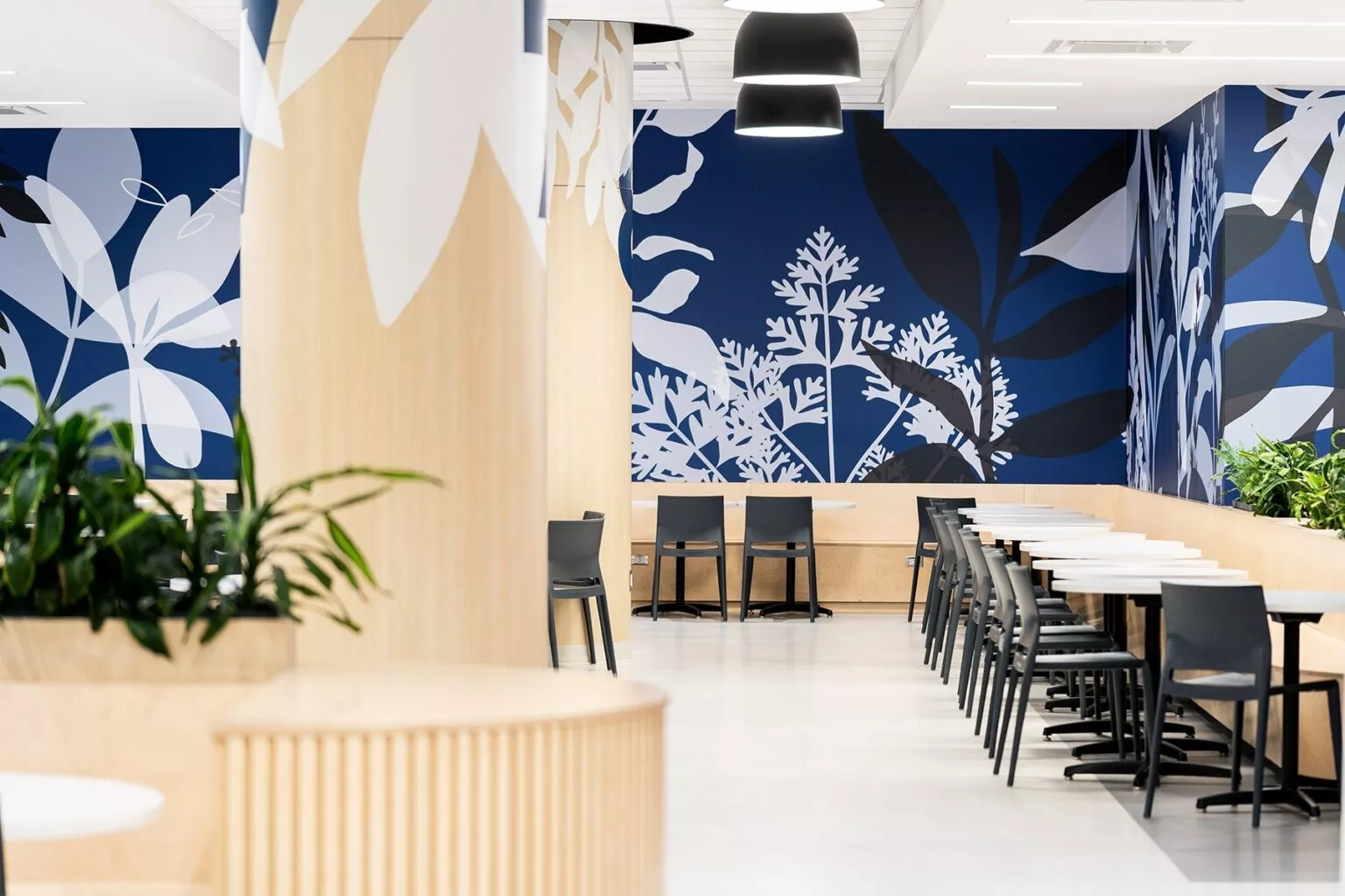 Collège de Maisonneuve