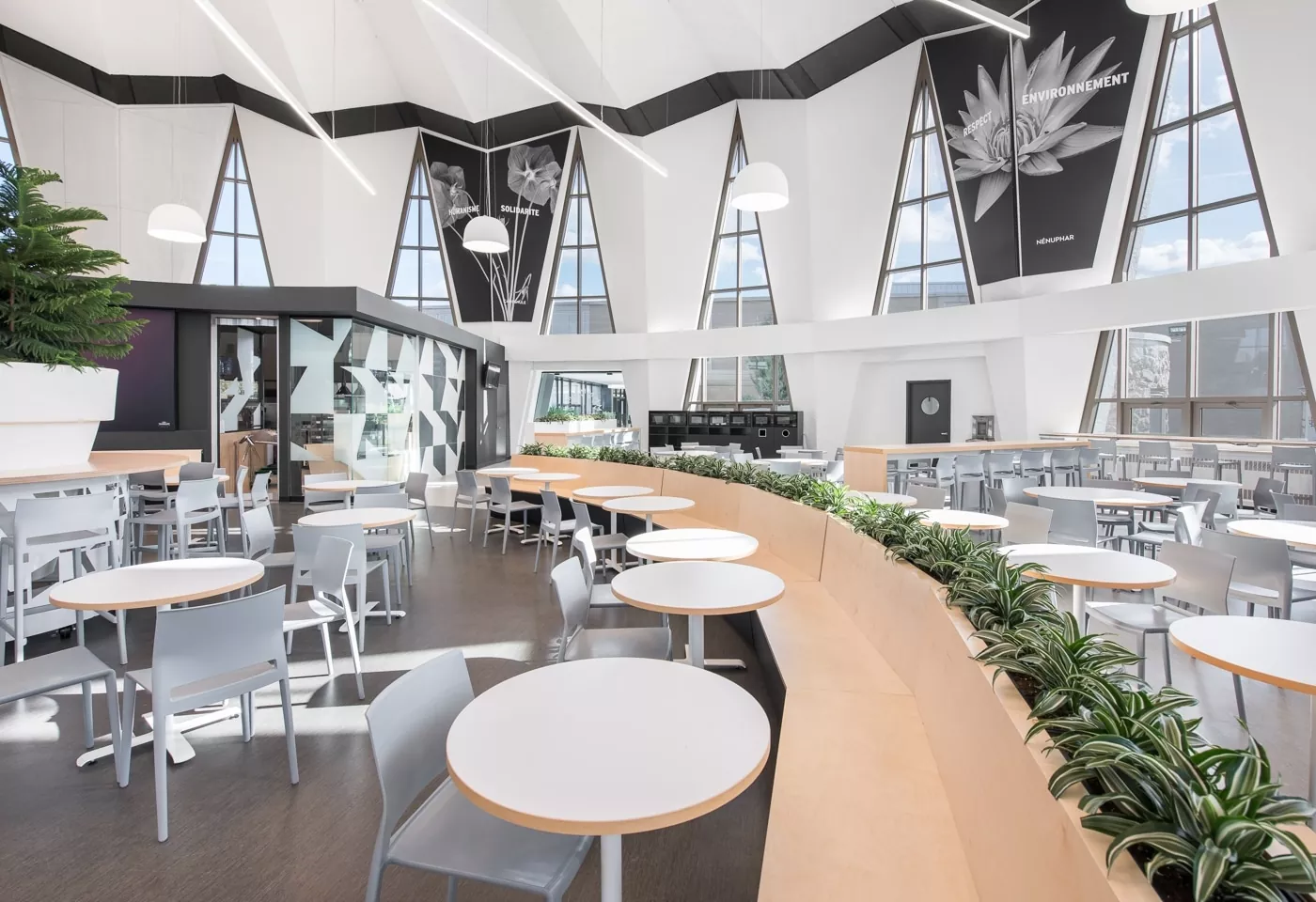 Cégep Marie-Victorin